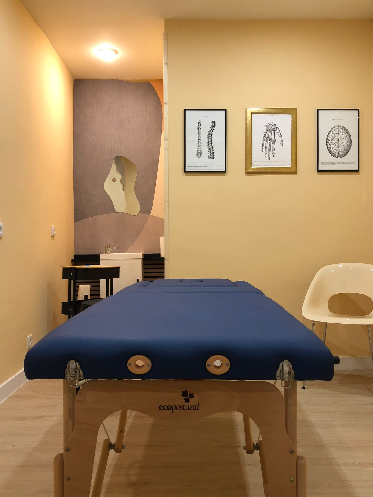Fisioterapia General